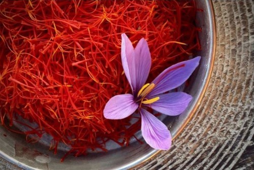 Nhụy hoa nghê tây saffron là  gì? Cách phân biệt thật giả - Tác dụng và cách sử dụng như nào?